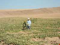 Village and historic area Of Jowzeqan