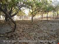 Village and historic area Of Jowzeqan