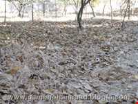 Village and historic area Of Jowzeqan