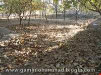 Village and historic area Of Jowzeqan