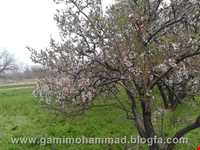 Village and historic area Of Jowzeqan