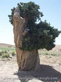 Village and historic area Of Jowzeqan