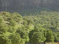 منطقه گردشگری شلال دون