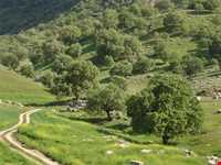 منطقه گردشگری شلال دون