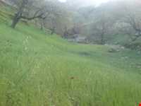 منطقه گردشگری شلال دون