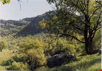 منطقه گردشگری شلال دون