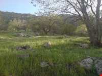 منطقه گردشگری شلال دون