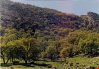 منطقه گردشگری شلال دون