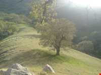 منطقه گردشگری شلال دون