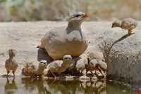 Tourist region of Roud Rouneh