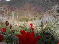 آبگرم خلیل آباد