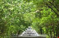 پارک جنگلی خلیل آباد