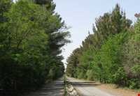 Khalil Abad forest park