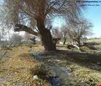 Khalil Abad forest park