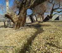 Khalil Abad forest park