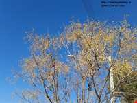 Khalil Abad forest park