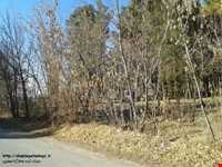 Khalil Abad forest park