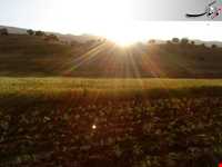 Region tourism of Tasooj