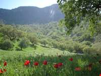 Region tourism of Tasooj