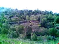 Region tourism of Tasooj