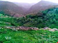 Region tourism of Tasooj