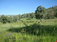 Region tourism of Tasooj