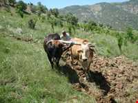 Region tourism of Tasooj