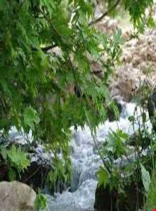 منطقه موگرمون