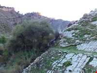 منطقه موگرمون