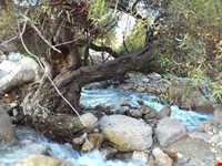 منطقه موگرمون