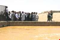 Mineral spring of Baba Gorgor