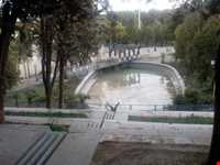 پارک جنگلی سید مرتضی