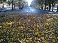 پارک جنگلی سید مرتضی