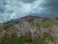 آب‌گرم کریز