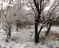 آب‌گرم کریز