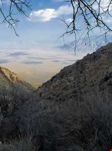 منطقه حفاظت شده میان جنگل