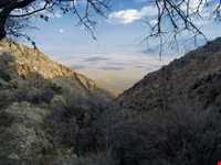 Mian Jangal Protected Area