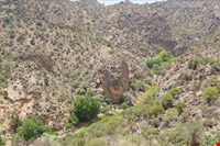 Mian Jangal Protected Area