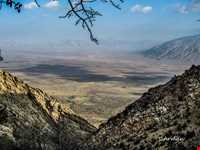 Mian Jangal Protected Area