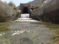 Mian Jangal Protected Area