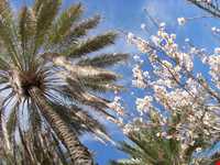 Mian Jangal Protected Area