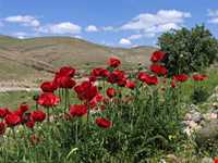 Chehel Cheshmeh mountain