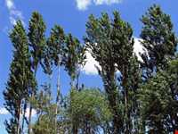 Chehel Cheshmeh mountain