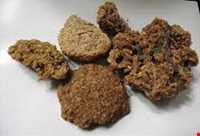 دوینه یا ترخینه کرمانشاهی