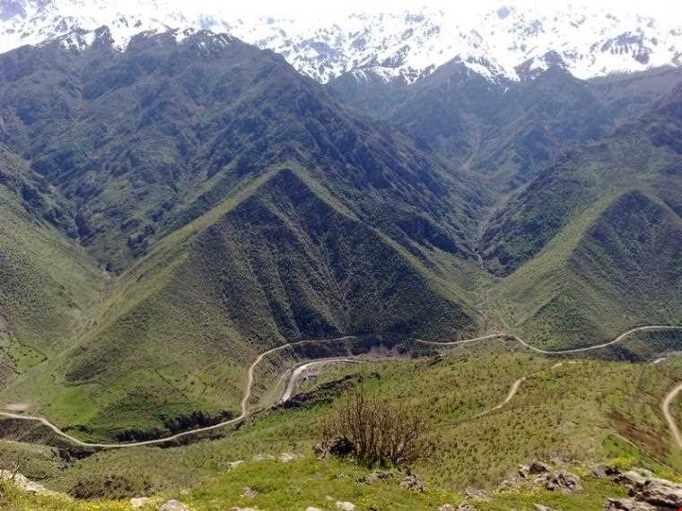 زیستگاه شاهو