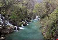 زیستگاه شاهو