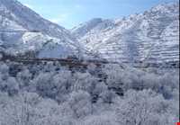 زیستگاه شاهو