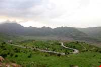 زیستگاه شاهو