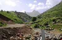 زیستگاه شاهو