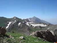 زیستگاه شاهو